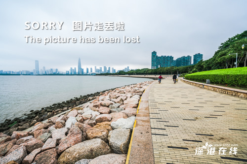 告发:白小姐一码期期开奖结果社会释义、解释与落实-远离虚假蛊惑