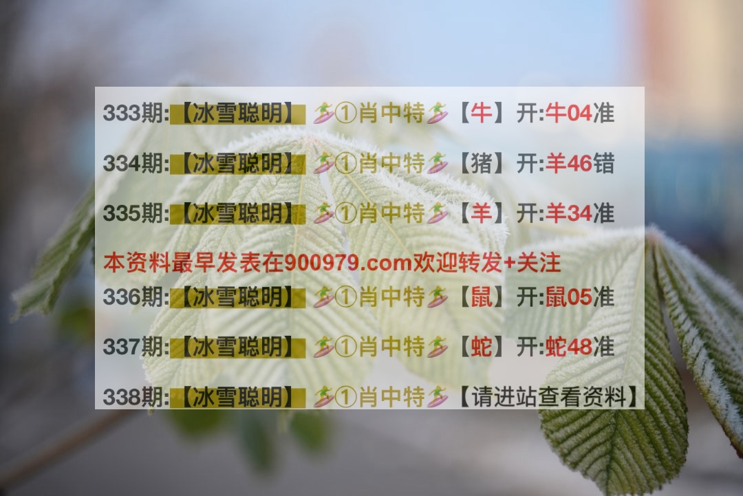 新奥资料免费精准2025和新澳门最快开奖结果开奖网站_文化冲突的分析;我们该如何寻求和解、专家作答落实解释