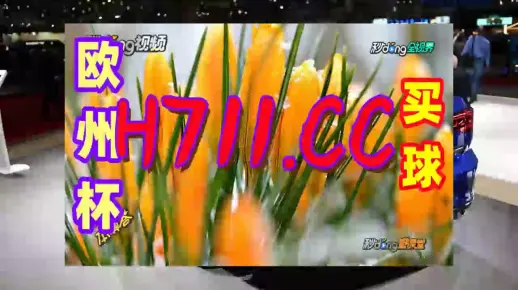 离谱!澳门管家婆一肖一码100%和2005年新澳门免费大全_全面释义、解释与落实！