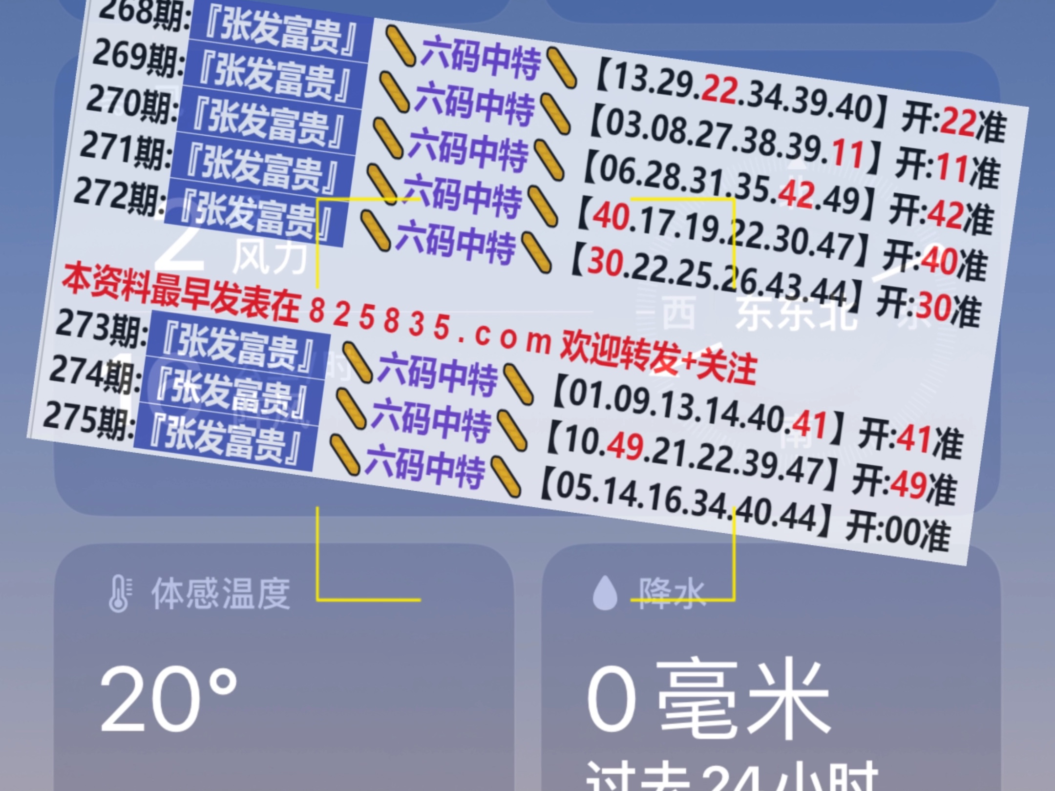 辅助!2025年新奥开奖记录查询跟777788888最精准四肖中特_如何平衡关注的点;基础常识与深度探索、理想作答落实解释