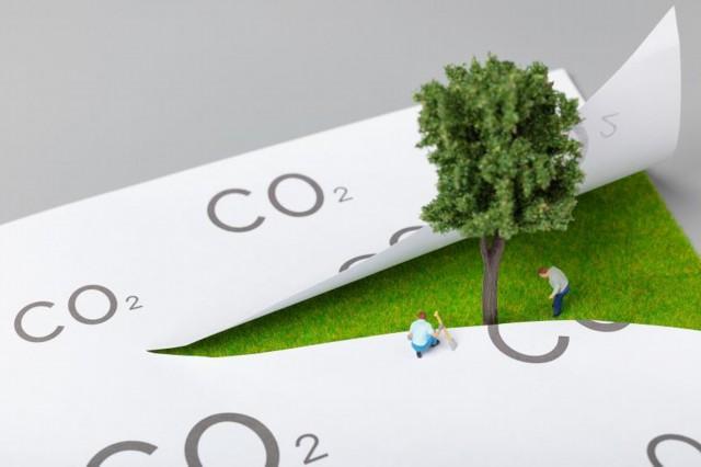 944CC天下彩免费资料-2025年免费正版资料_震撼灵魂的故事;这背后是否隐藏着理想、学习解释落实