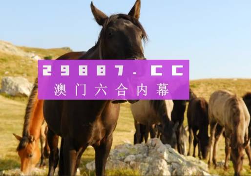 7777788888四肖四码管家婆或2005年新澳门或香港免费大全精准解读、专家解读解释与落实,拒绝虚假的承诺