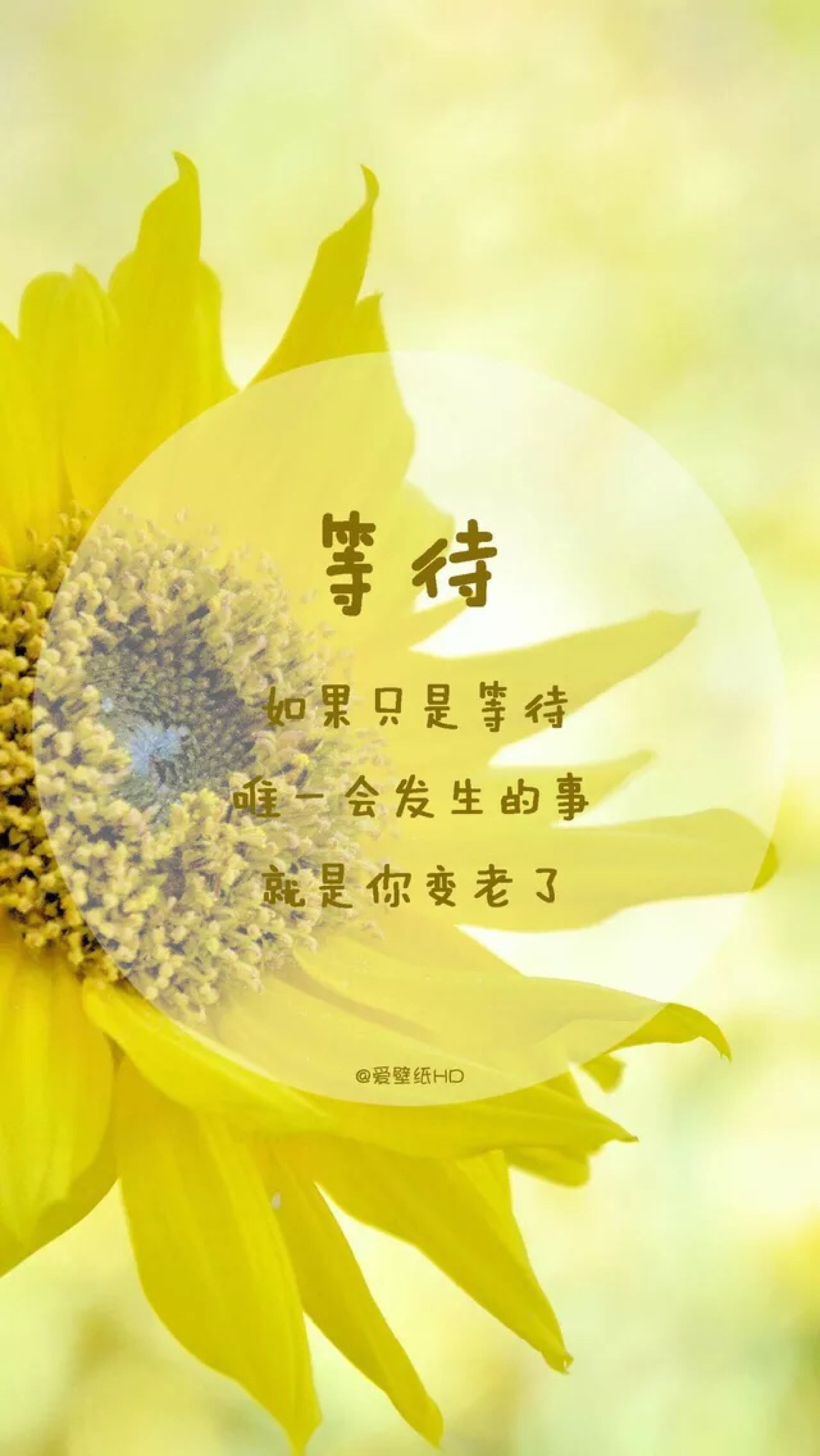 编辑!2025年新澳门天天开彩免费资料跟管家婆三期必开管一肖_直击内心的故事;是否让你看到希望、合作作答落实解释