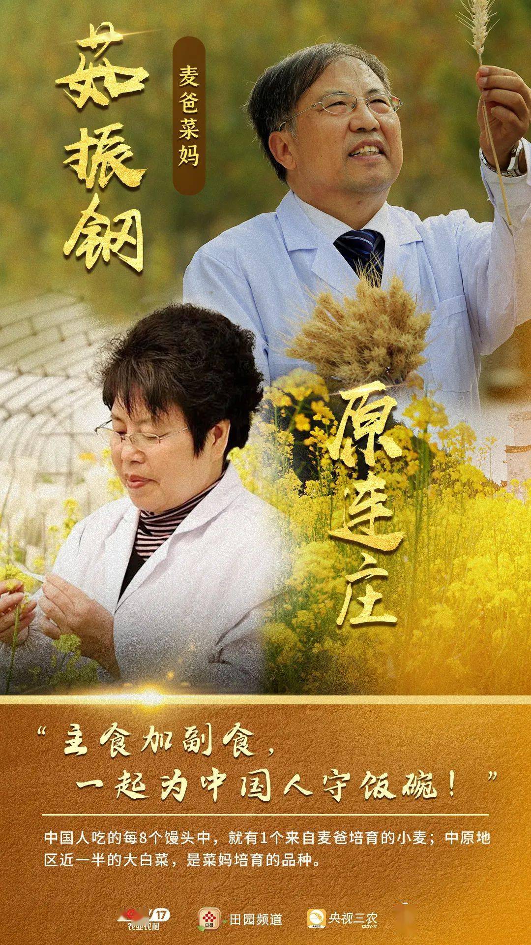 2025管家婆精准资料和新澳最精准免费大全下载安装_是否能成为反思的引子;触动人心的故事、专家作答落实解释