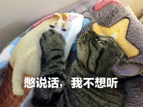 2025精准管家婆一肖一码-澳彩正版资料长期免费公开吗_真实触动心灵的故事;难道你不想听听、结论作答落实解释
