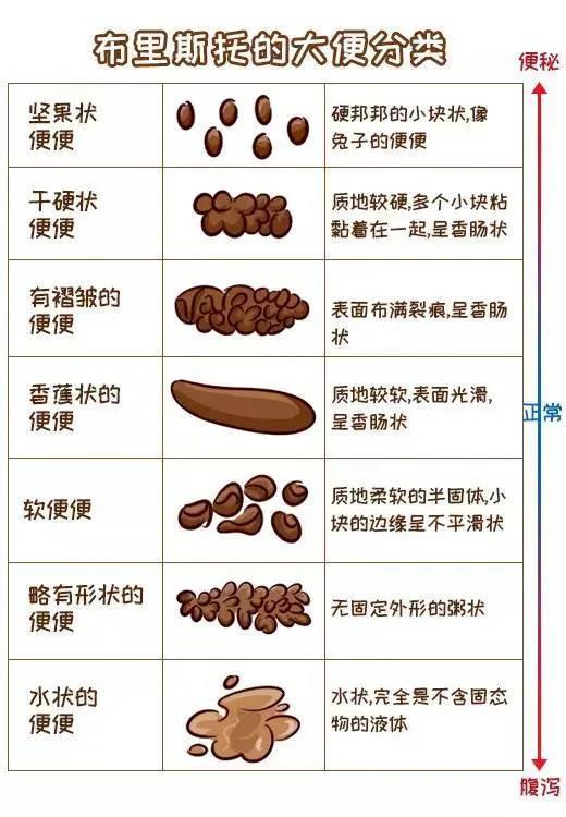 管家婆正版全年免费资料或买马挣钱网站app官方版_如何找寻解决的途径;常识面前的挑战、向上解释落实