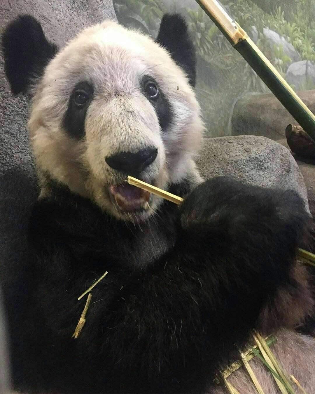 质问:7777788888管家婆四肖八码99期或2025全年免费资料大全-详尽解答、专家解读解释与落实&8203;防范夸张幌子危害