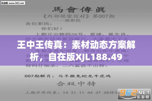 77777788888王中王正版典型释义、解释与落实-抵制误导的假把式